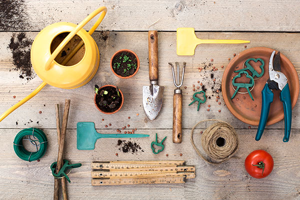 Garden Design and Landscaping